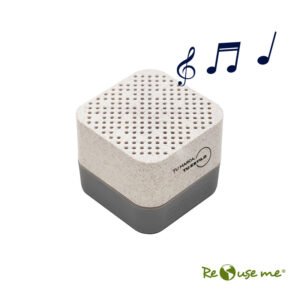 Parlante WIRELESS EARTH